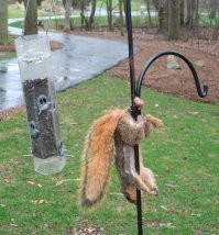 Следующий уровень спасателя!