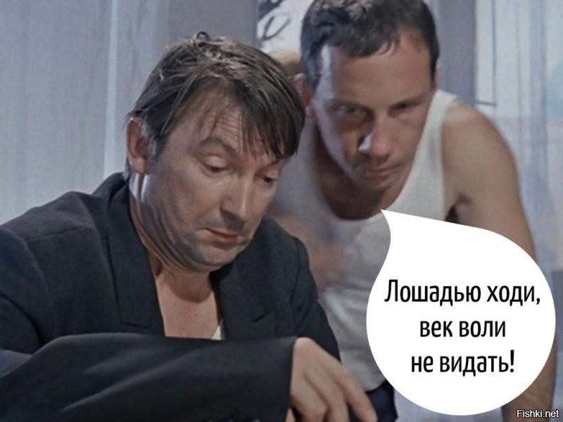 Солянка от 10.08.2020