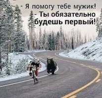 Медведи нарушили покой туристов и полакомились их едой