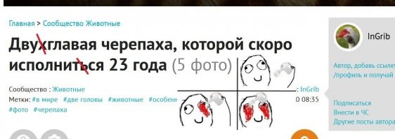Двухглавая черепаха, которой скоро исполниться 23 года