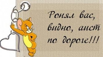 Синешапочная ифрита: Малявка, которая убивает тигра за 10 минут