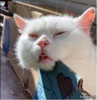 завтра ему понадобится его помощь