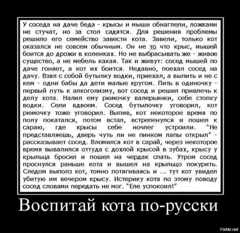 Солянка от 11.08.2020