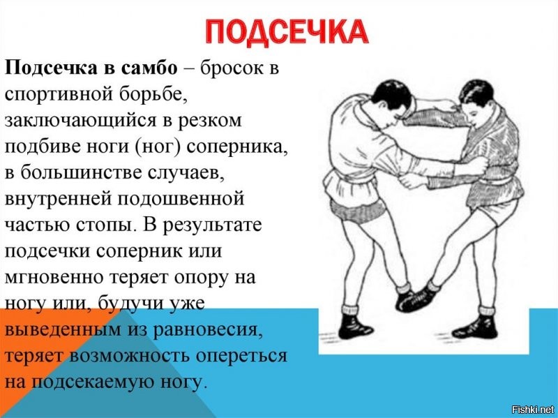 Солянка от 11.08.2020