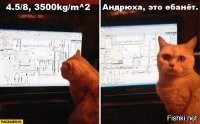 хрена се там котик фитиль поджег