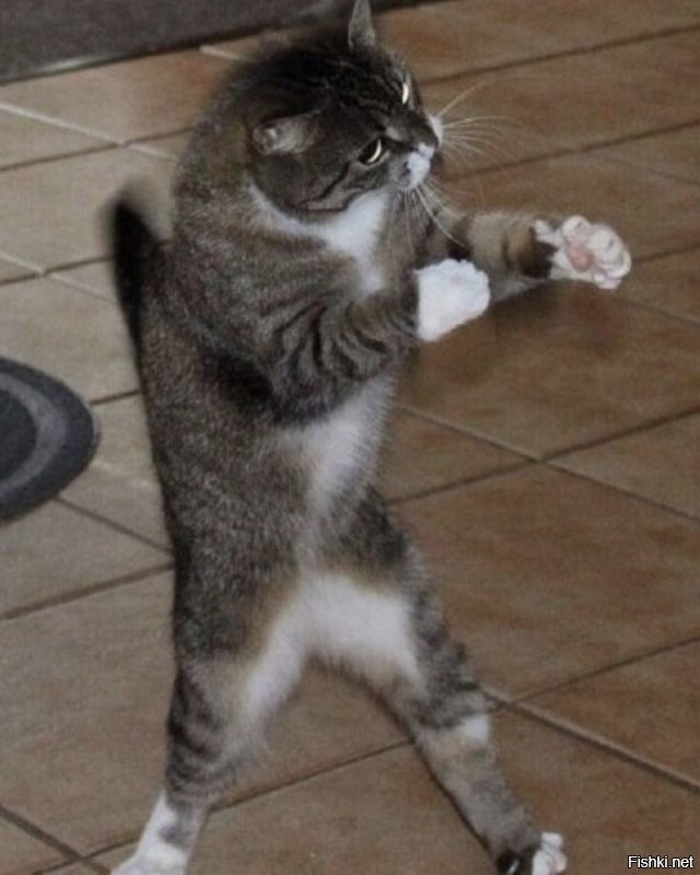 Солянка от 11.08.2020