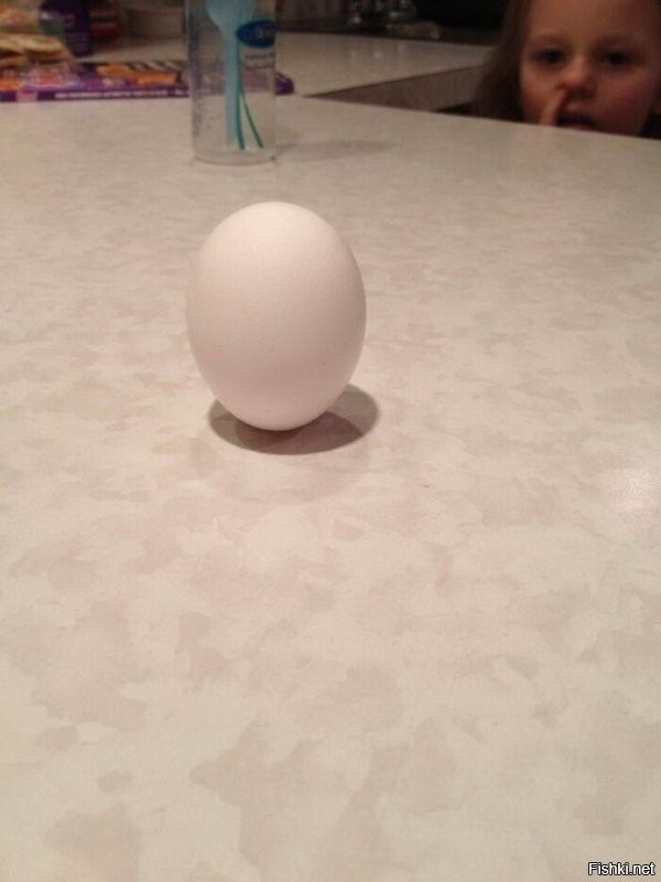 Проблема балансировки яйца решалась бы проще, если бы его центр тяжести находился симметрично, относительно вертикальной оси.
У большинства яиц и желток и воздушная камера смещены вбок, поэтому и не реально установить яйцо на один из концов.