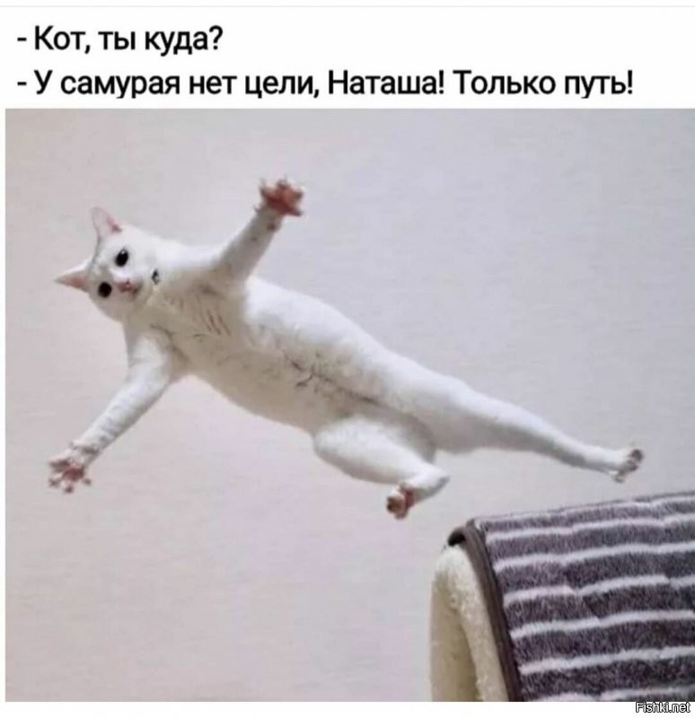 Солянка от 11.08.2020