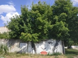 А это у нас местный художник рисует.
