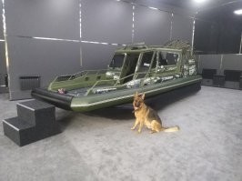 просмотр данных фото навел меня на следующие воспоминания) на то как брал пса на работу (иногда можно), и на то как ко мне в машину залетел чужой пес грязный и довольный, когда я привез пиломатериалы чтобы своими силами отремонтировать псиную площадку)