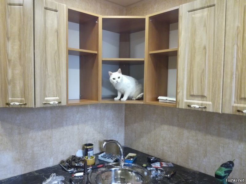 Нам тоже досталась хрущёвка в не особо живом состоянии. 
Ремонт ещё продолжается. В данный момент плавно проходит в коридоре.
Кухня, ванная и туалет уже облагорожены.
Вот отчёт на примере кухни.
Всё делал сам, жена помогала "принеси-подай". Делал первый раз, потому не всё так красиво получилось, но затраты получились минимальными.