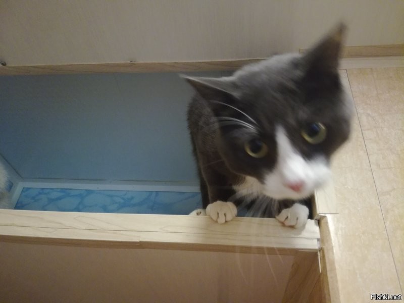 Нам тоже досталась хрущёвка в не особо живом состоянии. 
Ремонт ещё продолжается. В данный момент плавно проходит в коридоре.
Кухня, ванная и туалет уже облагорожены.
Вот отчёт на примере кухни.
Всё делал сам, жена помогала "принеси-подай". Делал первый раз, потому не всё так красиво получилось, но затраты получились минимальными.