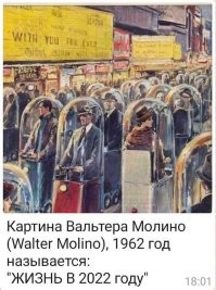 Жгут не по-детски: убойные комментарии от пользователей соцсетей