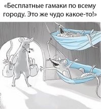 В сентябре опять на карантин? Верить слухам или нет?