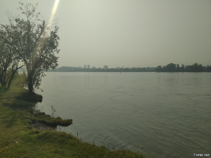 Ну хоть не смог... у нас сегодня дышать не комфортно было... тайга горит...