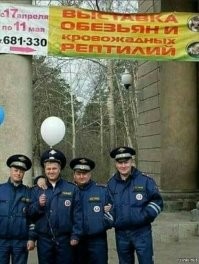 На очередных "оборотней в погонах" заведены уголовные дела