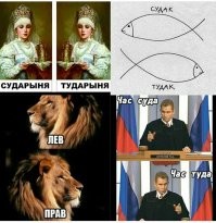 Прикольные и смешные картинки