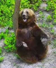 Прикольные и смешные картинки
