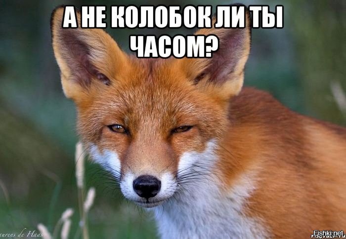 Солянка от 12.08.2020