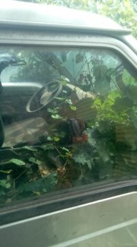 вот изнутри ))