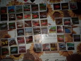 Прикольные и смешные картинки