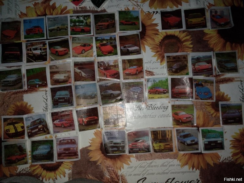 Прикольные и смешные картинки