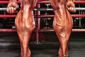 Прикольные и смешные картинки