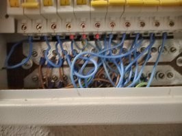 Прикольные и смешные картинки