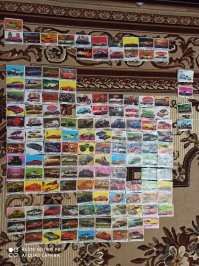 Прикольные и смешные картинки