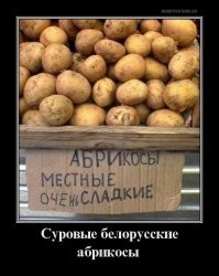 Беларусь до 9 августа: пост о глупых новостях, самоиронии и картохе