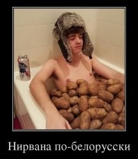 Беларусь до 9 августа: пост о глупых новостях, самоиронии и картохе