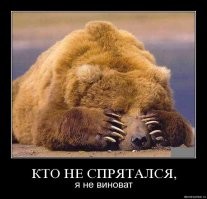 Прикольные и смешные картинки