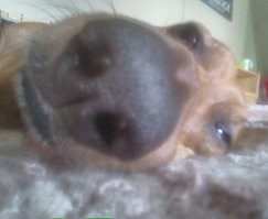 Охота? Я как бы читать умею.....