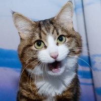 Байки из морга: патологоанатомы рассказывают случаи из практики