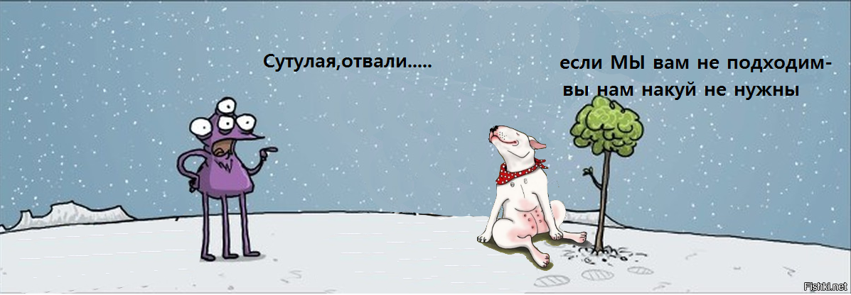 Солянка от 13.08.2020