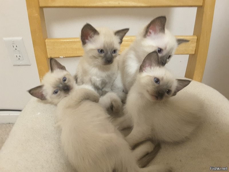 Прям как мои в молодости