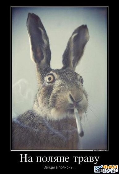 Солянка от 13.08.2020