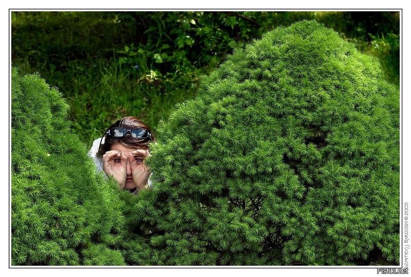 Солянка от 13.08.2020