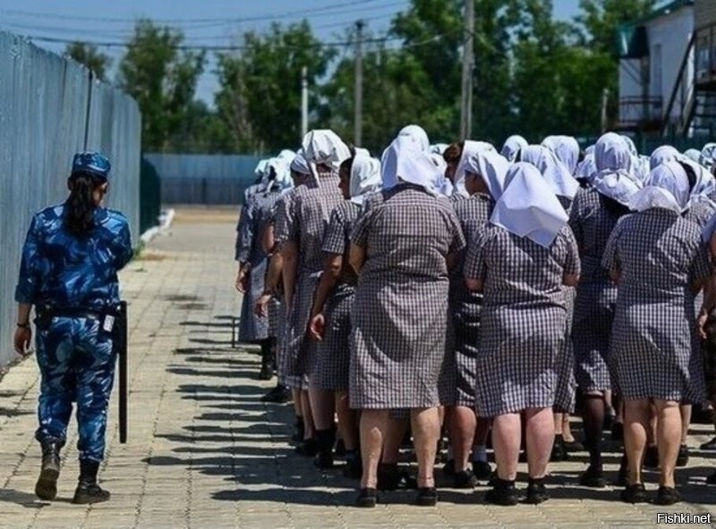Способы преодоления забора