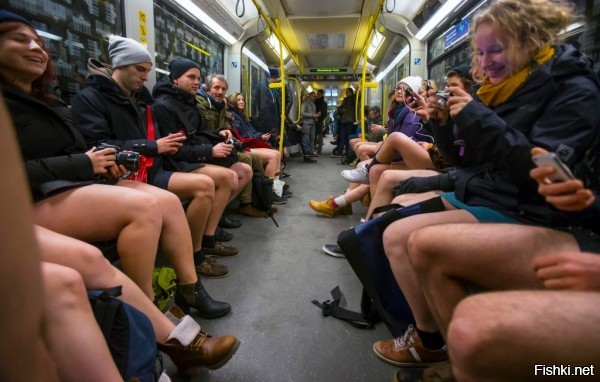 Пришли штаны то?