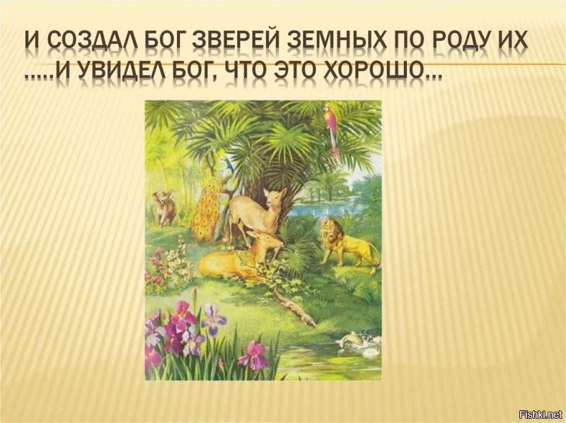 ну и грибы конешно тоже....