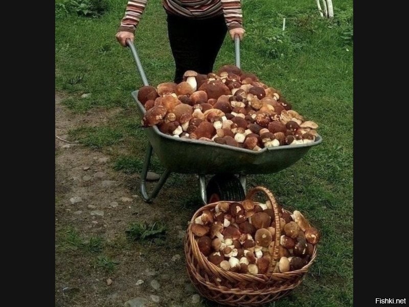 (с)