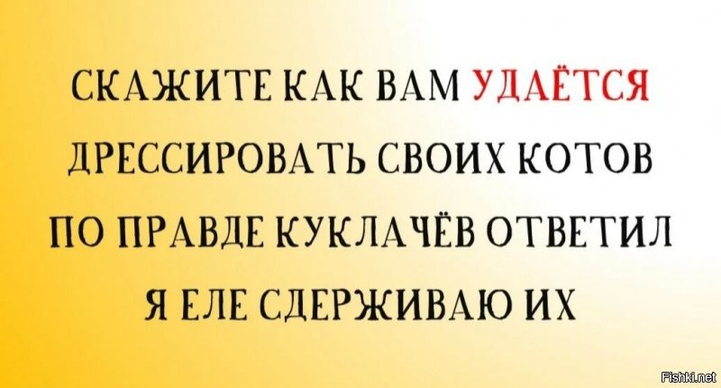 Солянка от 13.08.2020