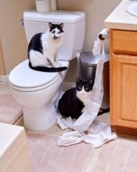 Позитивные фото, Спасибо!