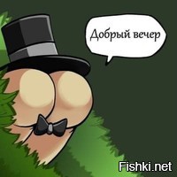 Солянка от 13.08.2020