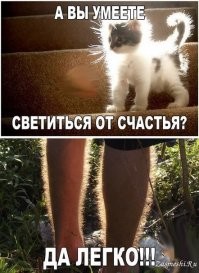 Прикольные и смешные картинки