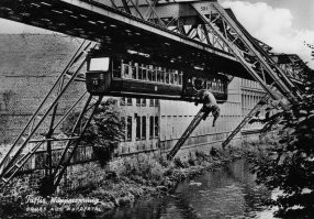 Неплохо. Катался на этой дороге. Ну слона (слониху) в догонку. 
ЗЫ, слониха выжила.