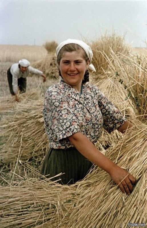 Страда...