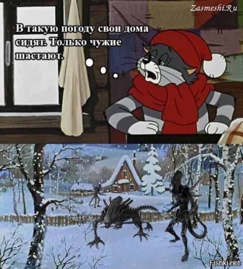 Солянка от 13.08.2020