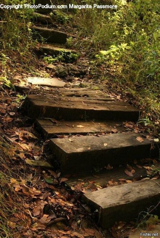 Испания, Кантабрия
